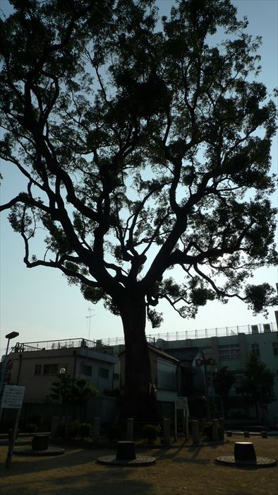 安立(あんりゅう)と紀州街道の街並み_f0139570_18233792.jpg