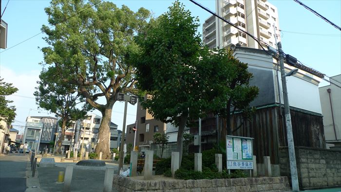 安立(あんりゅう)と紀州街道の街並み_f0139570_18241278.jpg