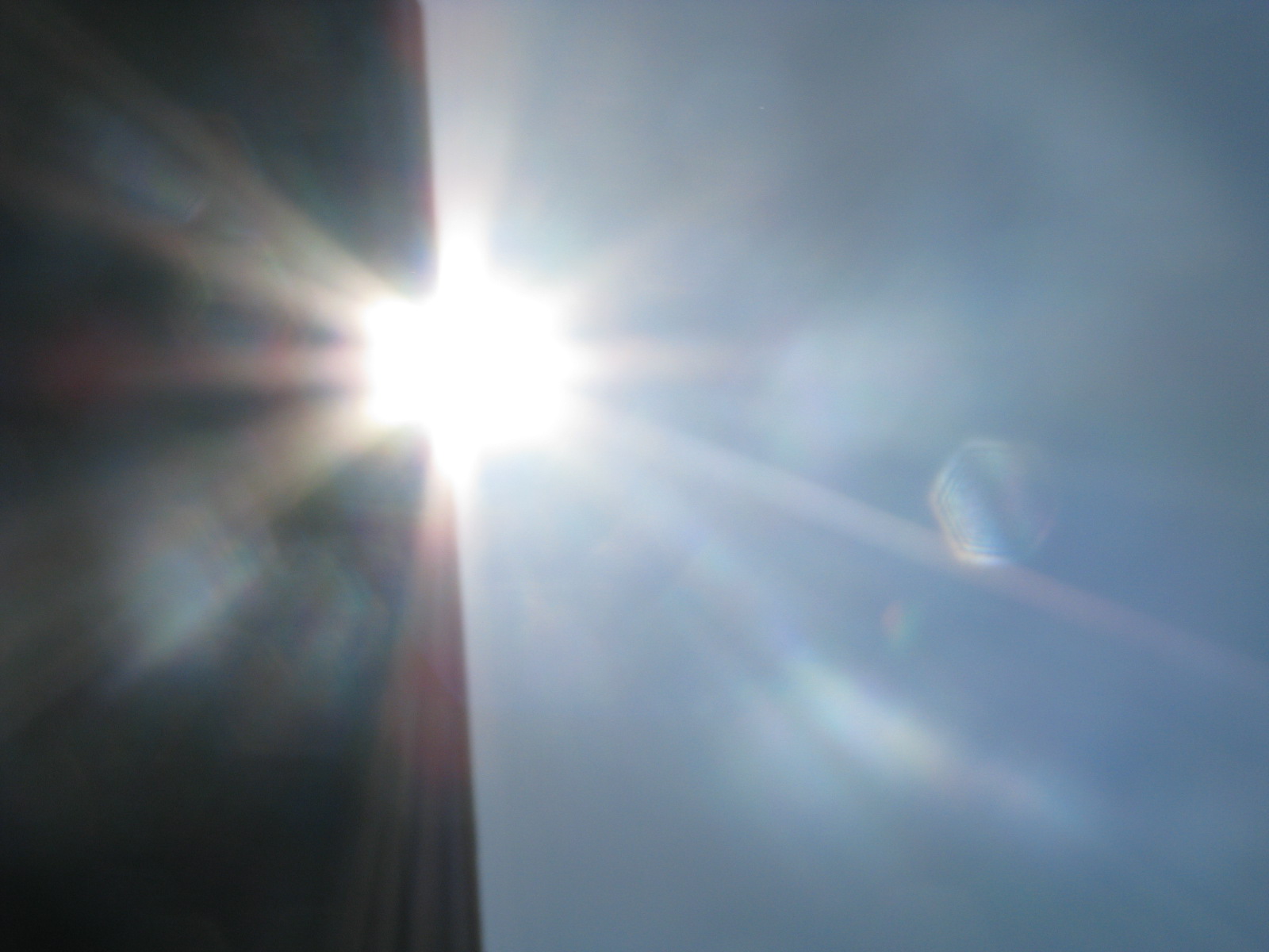 b0161073_1638873.jpg