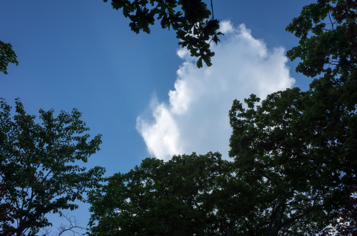 夏休み2015 その6_b0340077_22203986.jpg