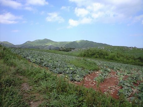 2013 夏の話3題 (マリンワールド・平尾台・海響館)_b0005281_21153776.jpg