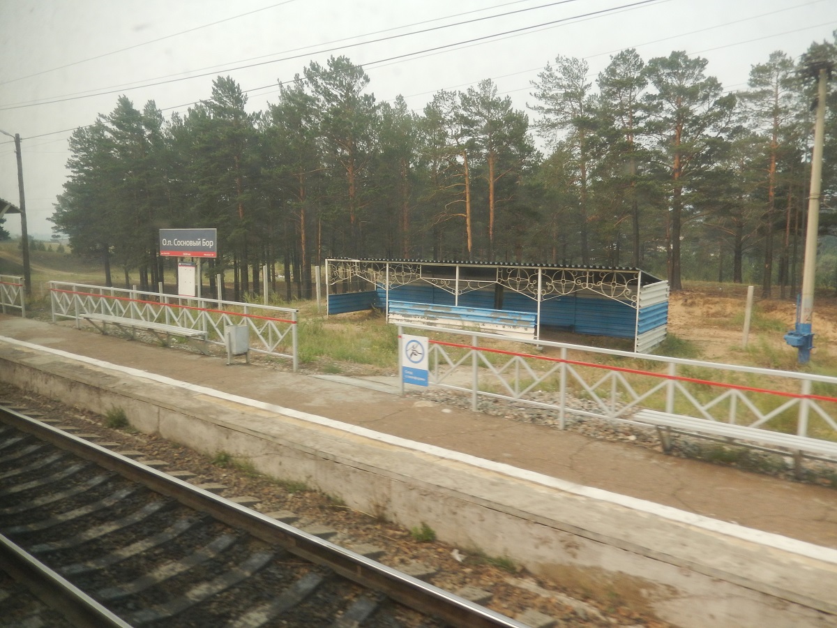 シベリアの旅⑦シベリア鉄道５・イルクーツク到着（2015.8.13）_e0320083_2122154.jpg