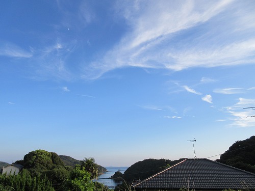 b0182884_161057.jpg
