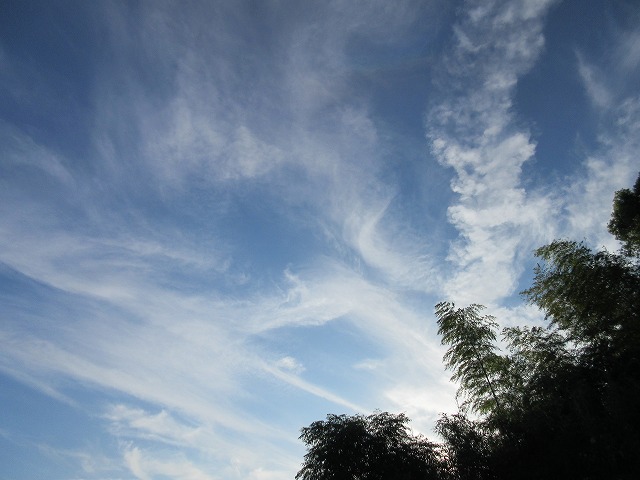 b0182884_1621439.jpg
