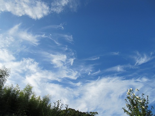 b0182884_1625852.jpg