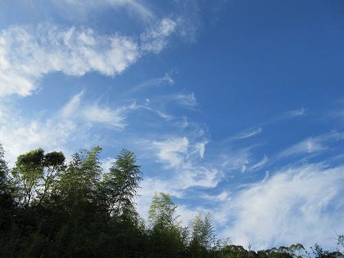 b0182884_163756.jpg
