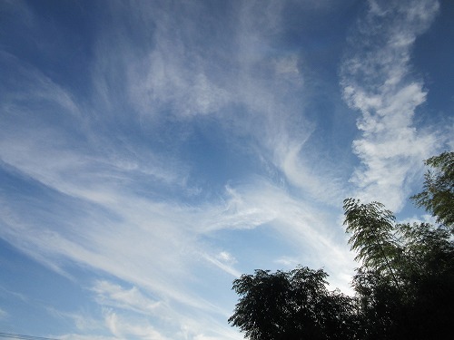 b0182884_1641364.jpg