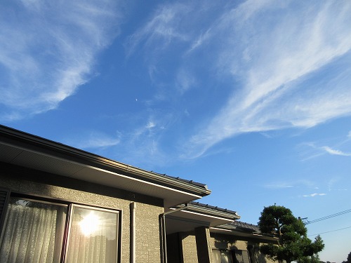b0182884_165468.jpg
