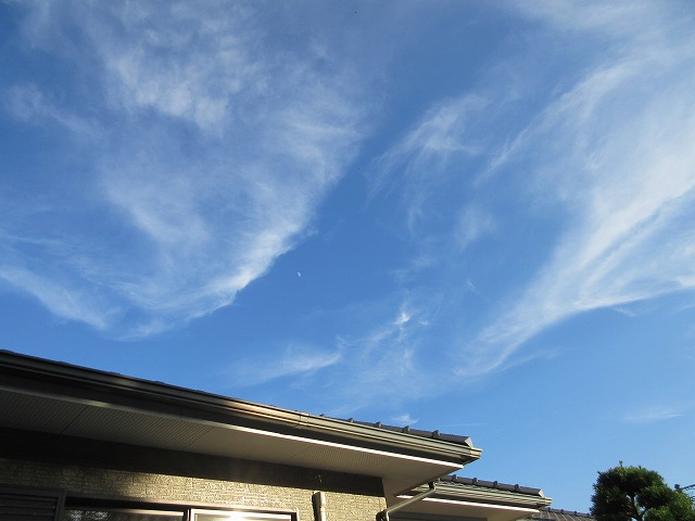 b0182884_1684462.jpg