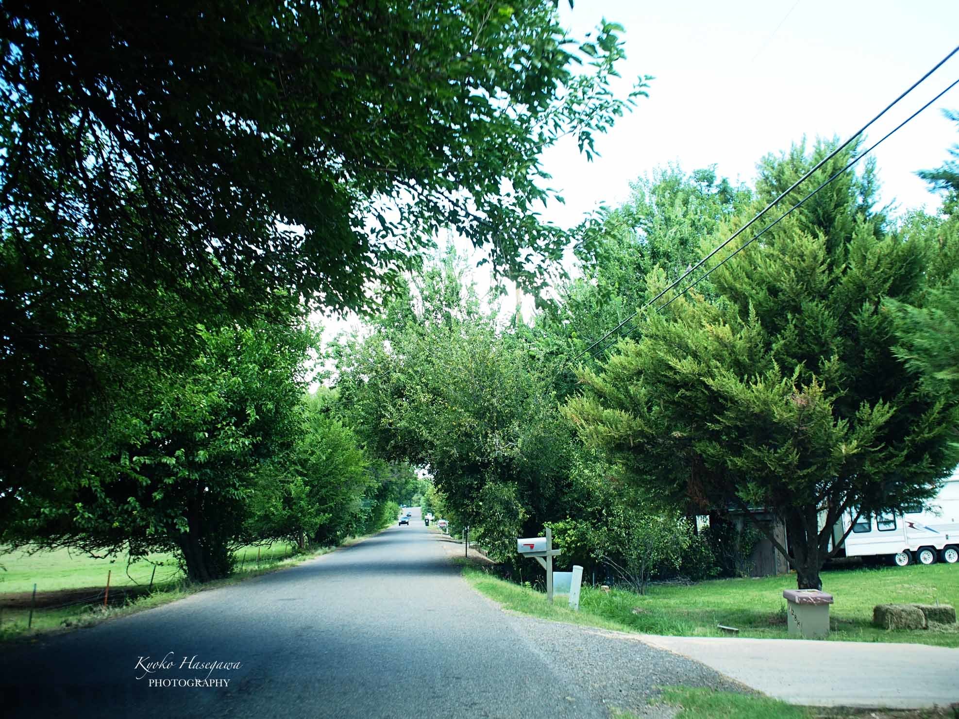 隣町、コットンウッドの小道_e0148185_05120489.jpg