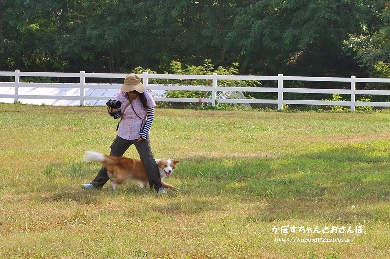 安曇野っ子ノアちゃん　（戸隠2015）_a0126590_00175018.jpg