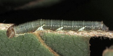 b0194593_69285.jpg