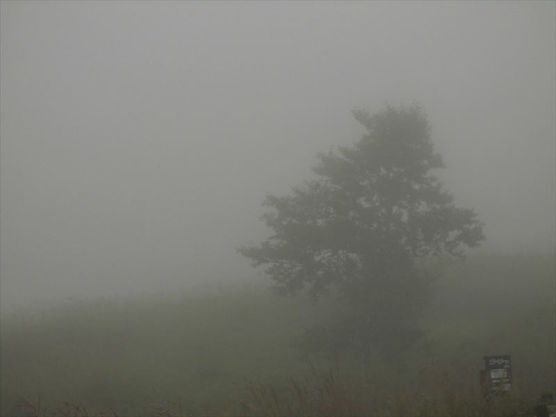 c0108198_16521086.jpg