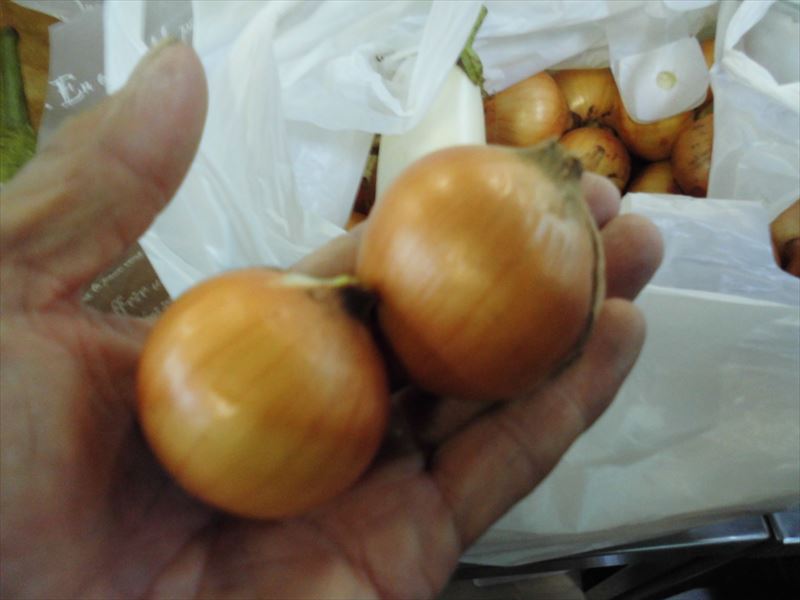 c0108198_1713870.jpg