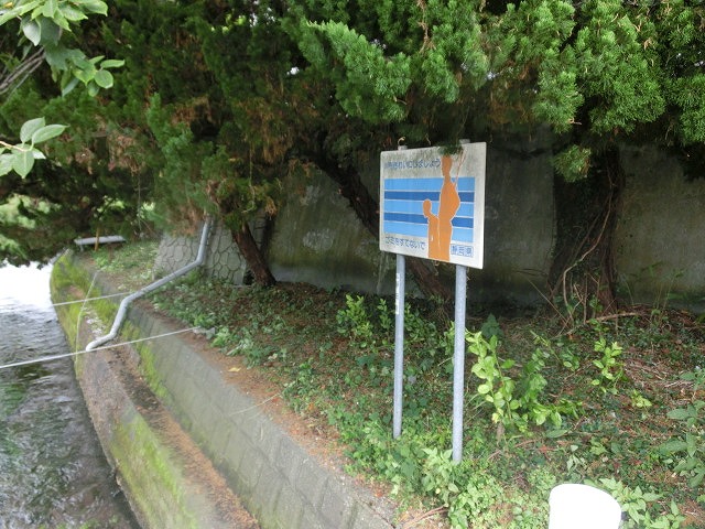 ジャングルが草刈り・枝打ちでスッキリ 田宿川の井出緑地_f0141310_7494997.jpg