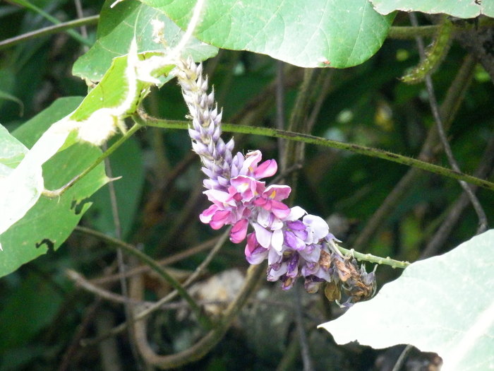 f0219710_8455969.jpg