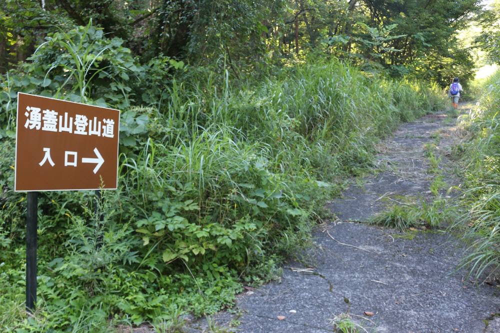 涌蓋山に登ってきました 休日の山登り 涌蓋山に登ってきました 休日の山登り