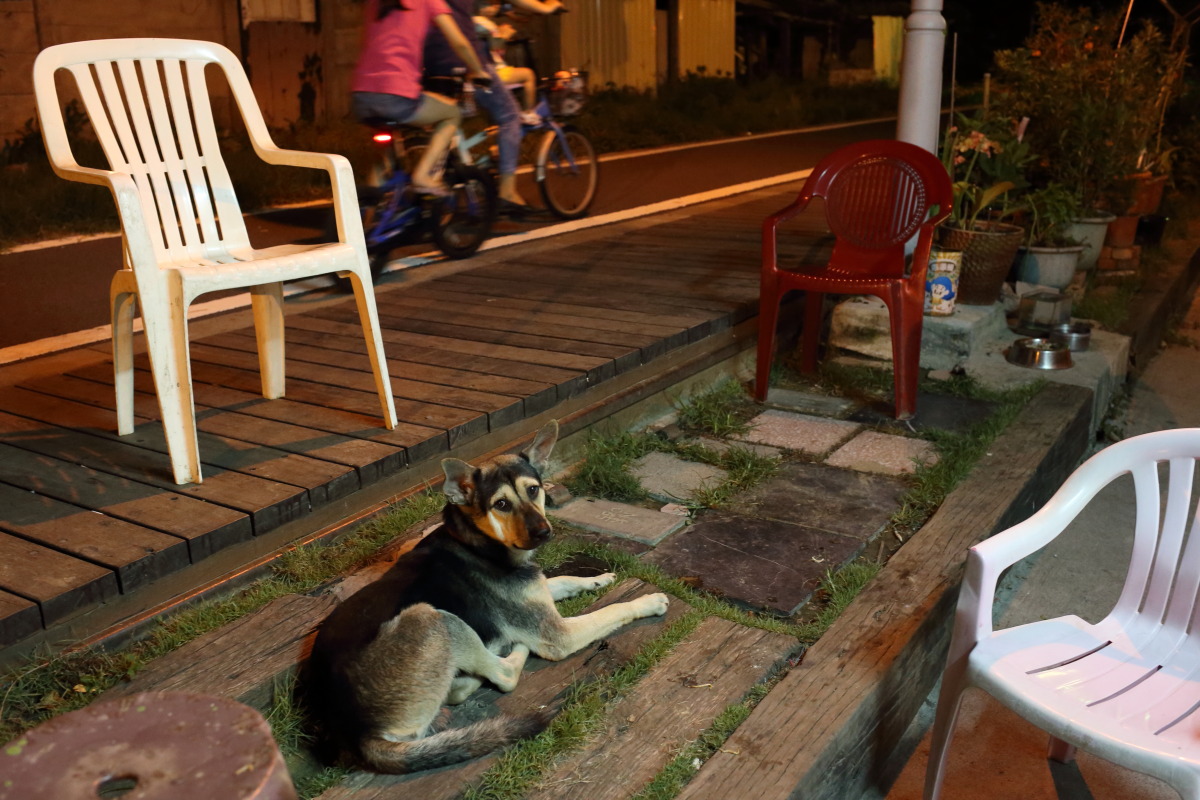 高雄 町で出会ったナイスな面々_b0061717_1134787.jpg