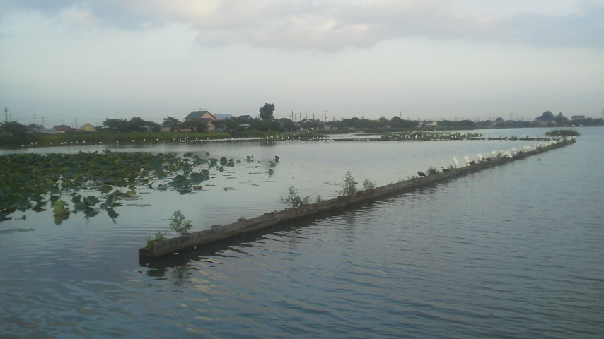 e0348420_04201858.jpg