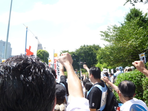 8月23日　国民の声、怒りの8.23大行動 ａｔ 国会　_c0104626_11125246.jpg