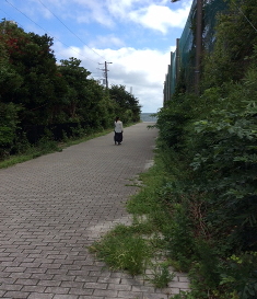 京急観音崎ホテル　＠横須賀_a0078827_1341166.jpg