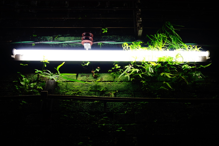 a0287336_20131430.jpg