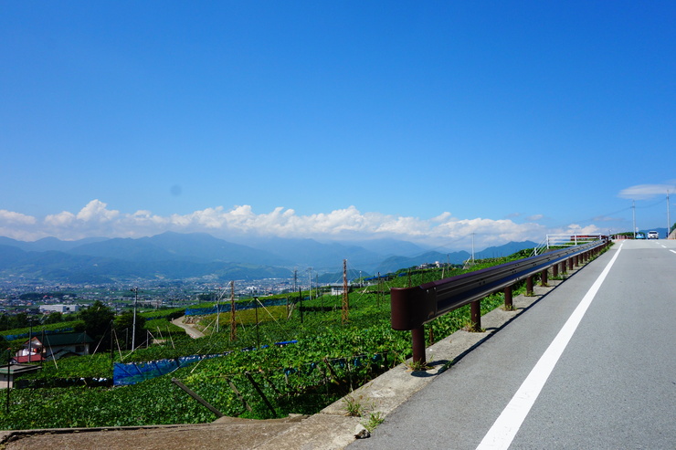 a0287336_2034815.jpg