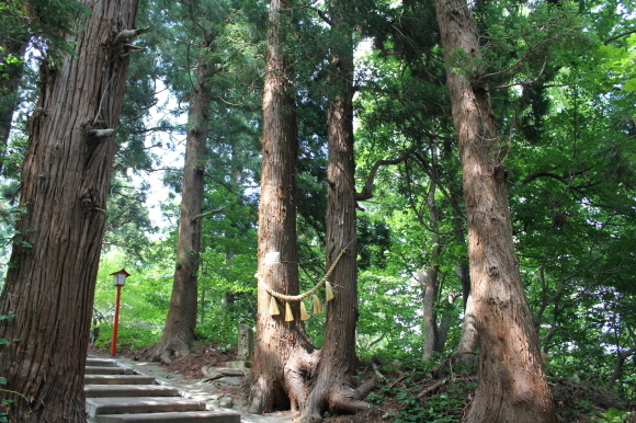 c0332238_14545850.jpg