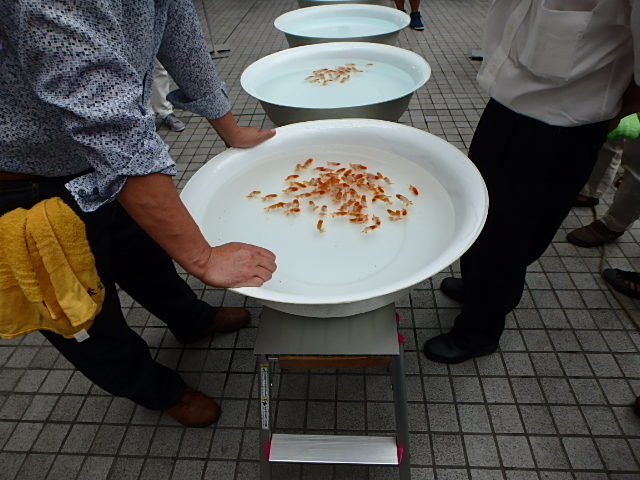 f0334143_12162732.jpg