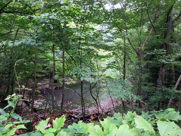 【世界自然遺産白神山地】④十二湖散策_b0009849_12521680.jpg