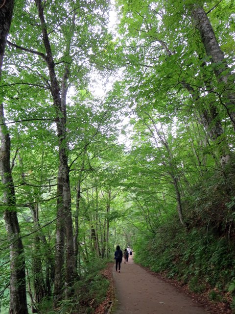 【世界自然遺産白神山地】④十二湖散策_b0009849_12564974.jpg