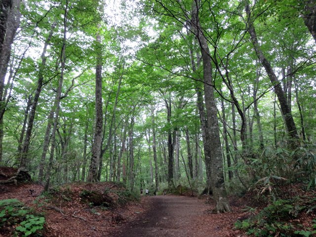 【世界自然遺産白神山地】④十二湖散策_b0009849_1355612.jpg