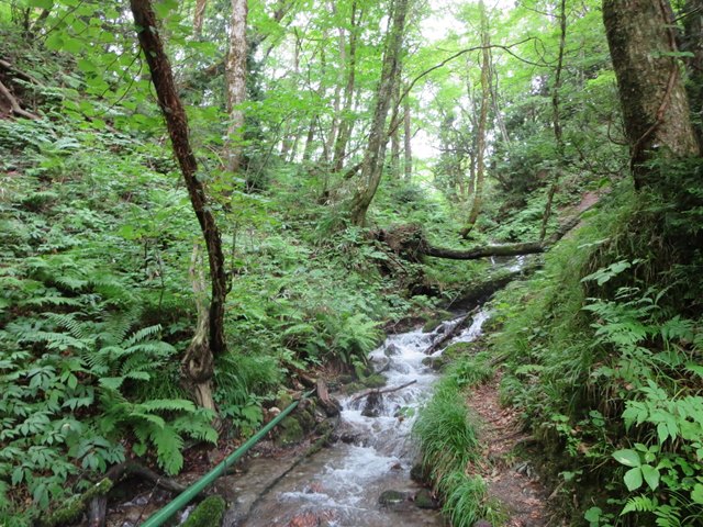 【世界自然遺産白神山地】④十二湖散策_b0009849_1613622.jpg