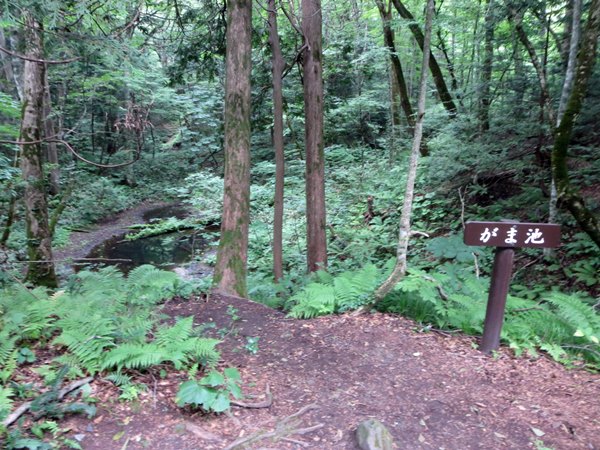 【世界自然遺産白神山地】④十二湖散策_b0009849_16202271.jpg