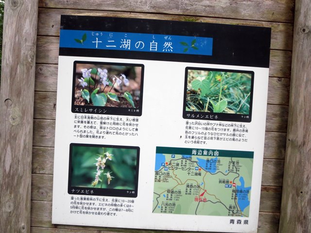 【世界自然遺産白神山地】④十二湖散策_b0009849_1643117.jpg