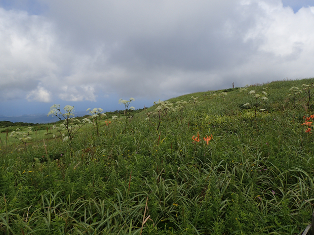 秋の気配の三瓶山②_f0214649_1654130.jpg