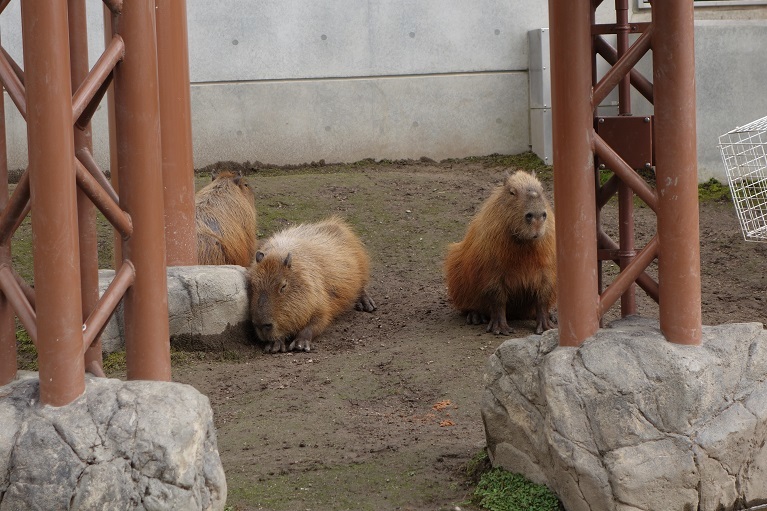 c0236857_08252758.jpg