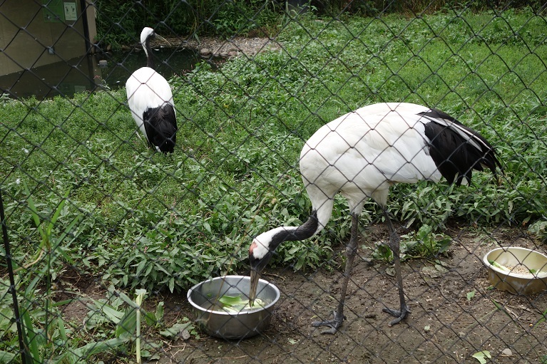 c0236857_08262413.jpg