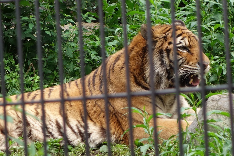 c0236857_08273130.jpg