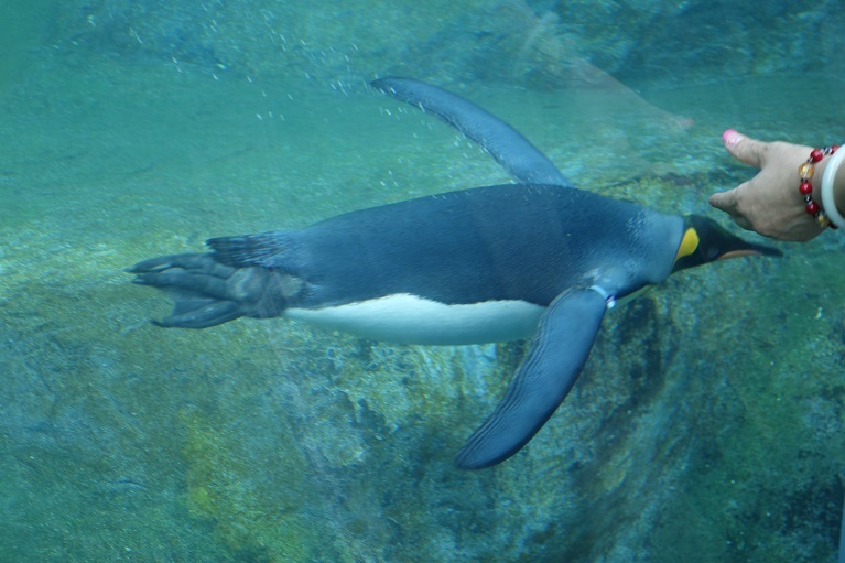 c0236857_08282157.jpg