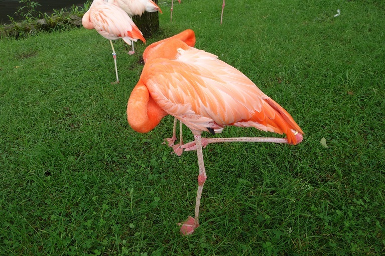 c0236857_08282742.jpg