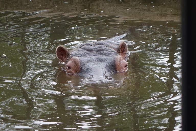 c0236857_08284713.jpg