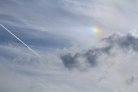 虹の空(๑˃̵ᴗ˂̵) 吊り橋ピュン | 90's 日清ラ王 「ZONO & HIDE」 sizeL THANK YOU