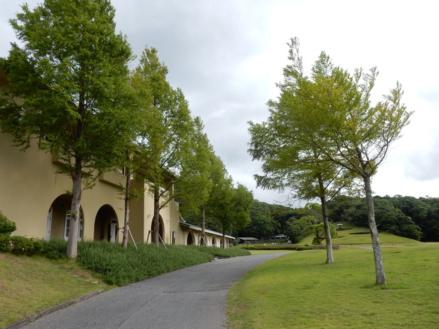 ’15,8,25(火)セミの絞り鳴き!_f0060461_13181315.jpg