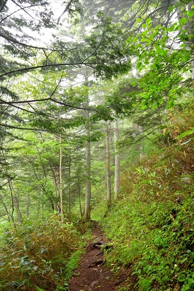 b0281366_11310107.jpg