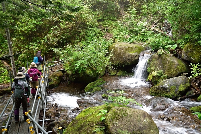 平山でナキウサギ*_b0281366_11314198.jpg