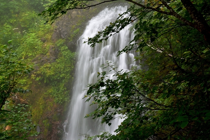 b0281366_11464794.jpg