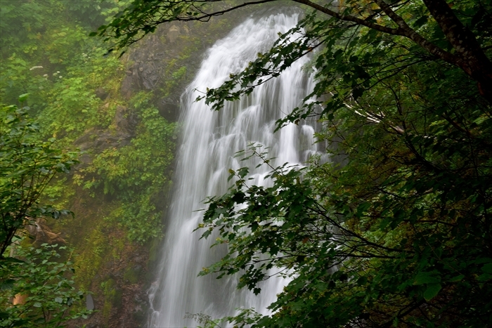 平山でナキウサギ*_b0281366_11464794.jpg