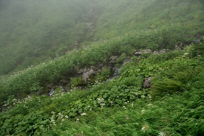 b0281366_13381795.jpg