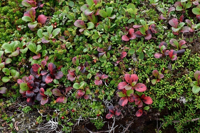 b0281366_13494916.jpg